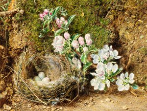 Zweig mit Apfelblüten und Vogelnest von William Henry Hunt