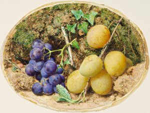 Goldene Tropfenpflaumen und schwarze Trauben, ca. 1860