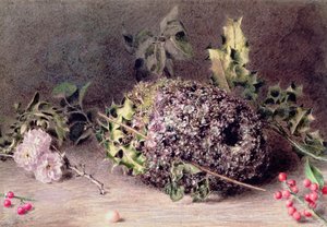 Nest der Schwanzmeisen