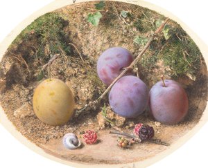 Pflaumen und Maulbeeren