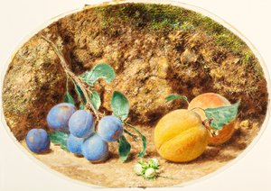 Lila Pflaumen, Aprikosen und Holznuß, ca. 1860