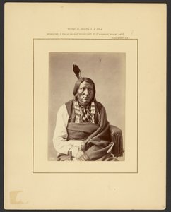 Angriff auf die Hauk - (Brulé Dakota) von William Henry Jackson