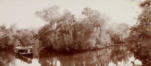 Am Tomoka nahe Ormond, Florida