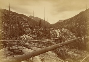 „Rundhöcker“ nahe dem Berg des Heiligen Kreuzes von William Henry Jackson