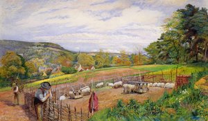 Reparatur des Schafstalls, 1858
