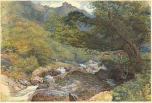 Am East Lyn, Nord-Devon von William Henry Millais