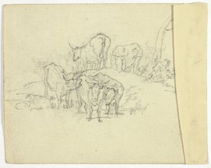 Vieh (recto); Der Scharlatan (verso)
