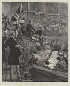 Großes Treffen irischer Delegierter in der Albert Hall, Jubel für den Union Jack von William Heysham Overend