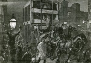 Jumbos Reise zu den Docks