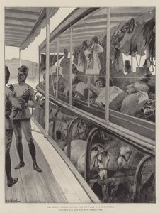 Der Vormarsch nach Dongola, das Truppendeck eines Nil-Dampfers von William Heysham Overend