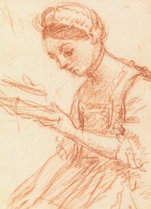 Junge Dame mit einem Buch
