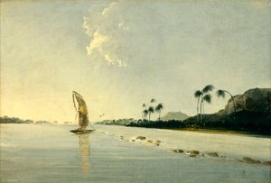 Ansicht eines Teils der Insel Ulietea [Raiatea]