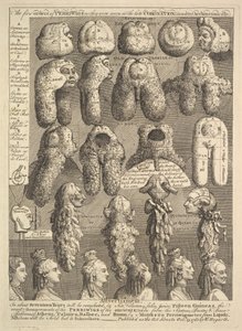 Die fünf Ordnungen der Perücken, 1761 von William Hogarth