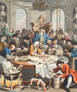 Die Belohnung der Grausamkeit, aus Die vier Stufen der Grausamkeit, Illustration aus 