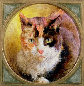 Ein Kopfstudie einer Schildpattkatze, 1866