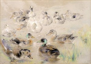 Studie von Enten