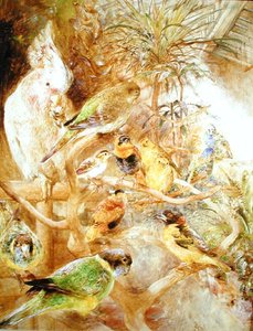 Die Voliere