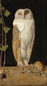 Die weiße Eule: "Allein und seine fünf Sinne wärmend, sitzt die weiße Eule im Glockenturm", 1856