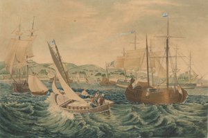 Quarantäne, Staten Island, 1833