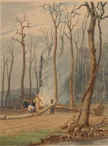 Frühling--Brennende gefällte Bäume in einer gerodeten Lichtung. Westliche Szene, 1841