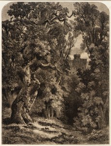 Landschaft