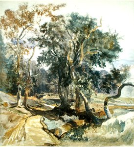 Ein Waldweg von William James Muller