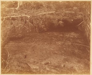 Ohne Titel, aus dem Portfolio Der Wald: Adirondack-Wälder von William James Stillman