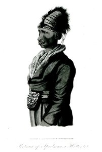 Porträt von Speelman, einem Hottentotten, 1814 von William John Burchell