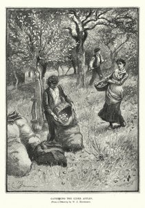 Das Sammeln der Apfelwein-Äpfel von William John Hennessy