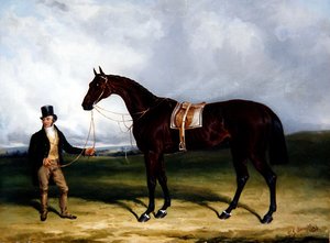 Bay Middleton, Gewinner des Derbys