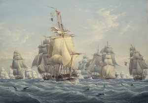 Eine britische Staffel unter vollen Segeln mit Schweinswalen