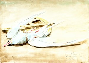 Küstenseeschwalbe und ein hölzerner Sextant auf Axels Insel, Spitzbergen, 20. Jahrhundert von William Lionel Wyllie