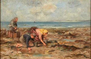 Muschelsammler