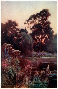 Garten des Worcester College von William Matthison