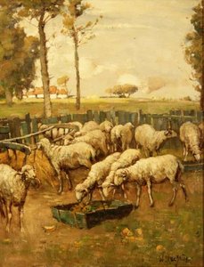 Der Schafstall von William McBride