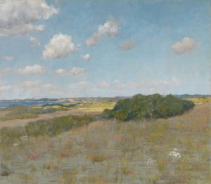 Sonnenlicht und Schatten, Shinnecock Hills von William Merritt Chase