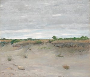 Vom Wind verwehte Sanddünen, 1894