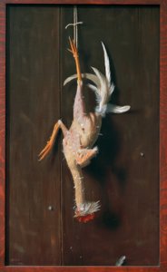 Plucked Clean von William Michael Harnett