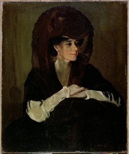 Der braune Schleier