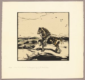 Das Shire-Pferd