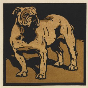 Das quadratische Buch der Tiere: Der britische Bulldogge