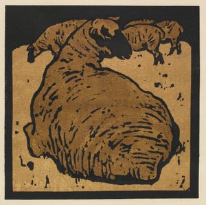 Das quadratische Buch der Tiere: Das einfache Schaf
