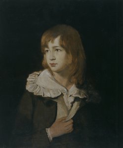 Porträt eines Jungen, John Parry of Garden, ca. 1788-89