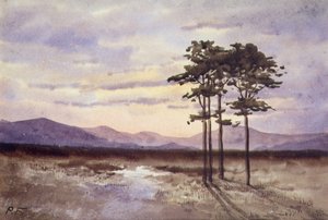 Sonnenuntergang, County Sligo von William Percy French