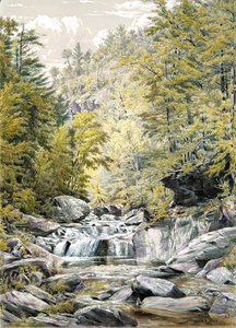 Catskill Clove, 1856 von William Rickarby Miller