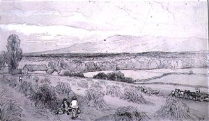 Ernteszene