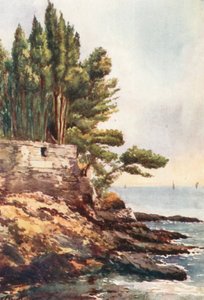 Capo Lungo, Nervi