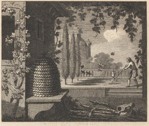 Die degenerierten Bienen von William Skelton