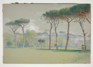 Castel Fusano: Landschaft - große Wiese und Bäume