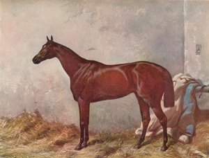 Hermit: Gewinner der Derby Stakes in Epsom, 1867, 1903 von William Summers